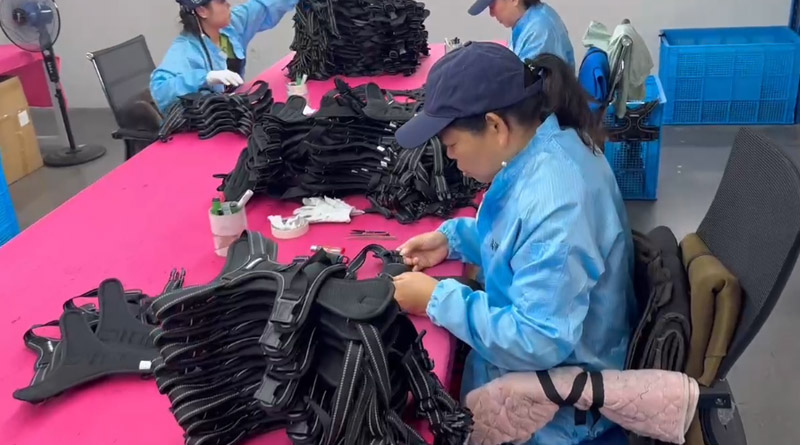 KU酷游宠物，无处不在